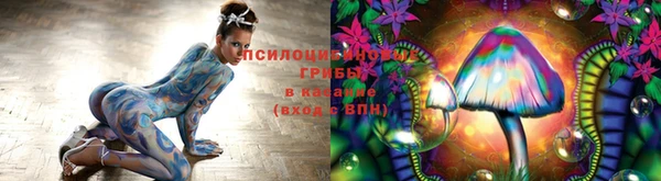 винт Армянск