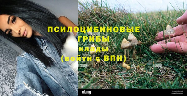 винт Армянск
