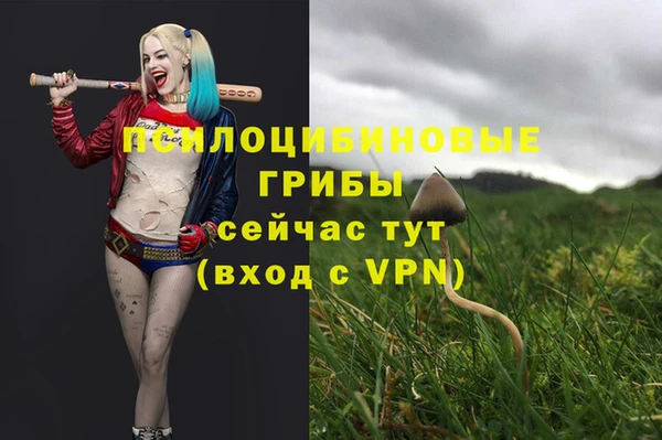 спиды Аркадак