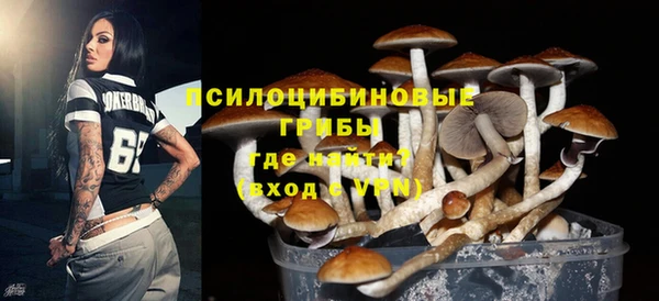 гашик Пересвет