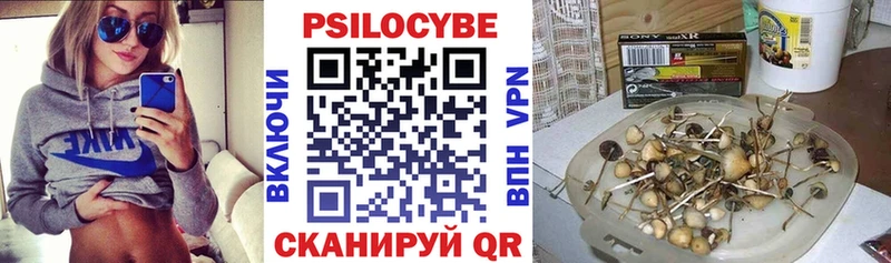 blacksprut онион  Свирск  Псилоцибиновые грибы Psilocybine cubensis 